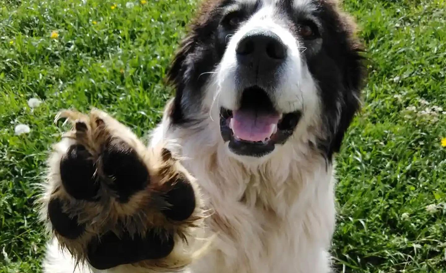 Buddy & Lola campaign photograph