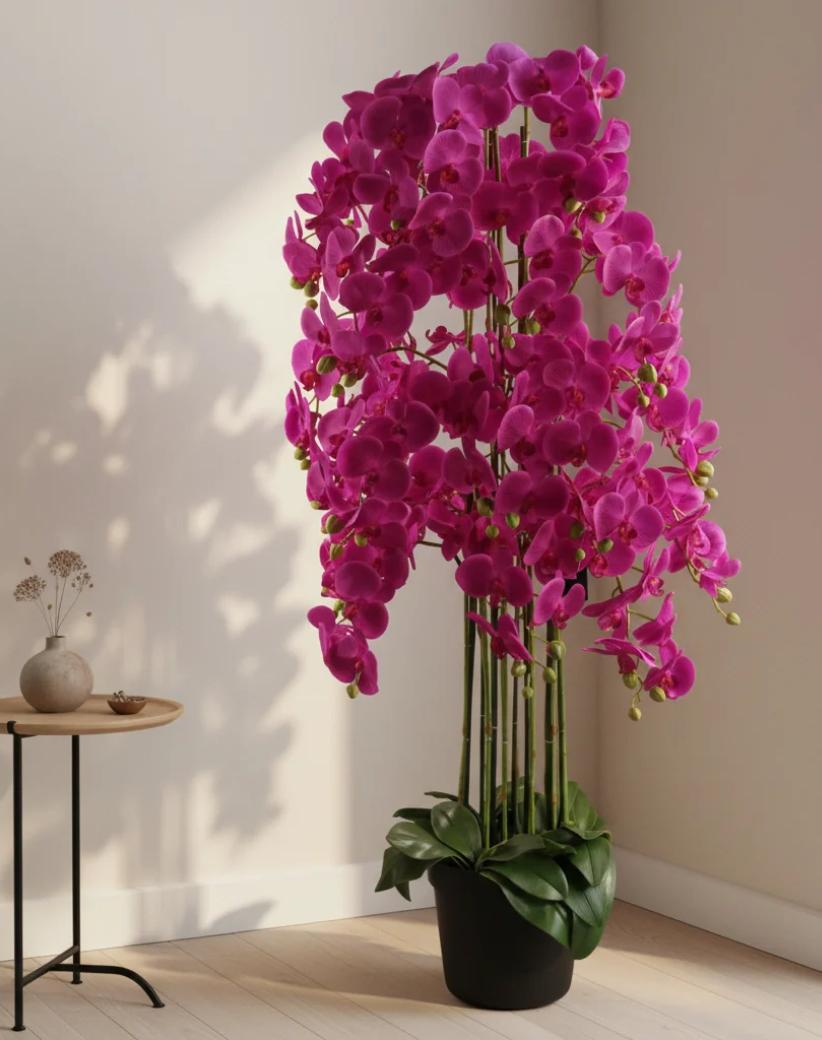 Artificial Eden Shopify store
