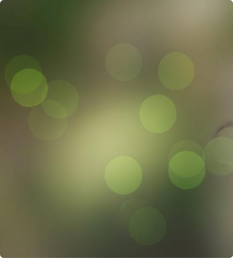 Soft green bokeh